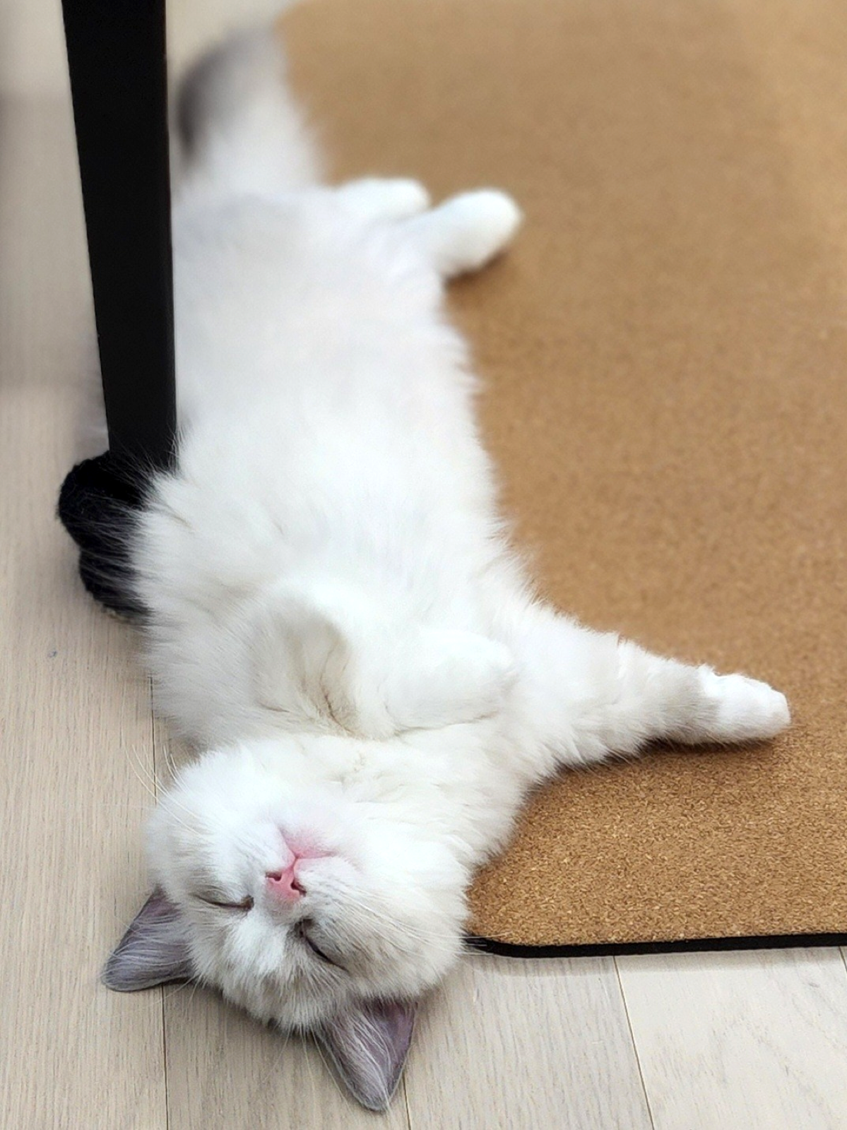 후기 사진